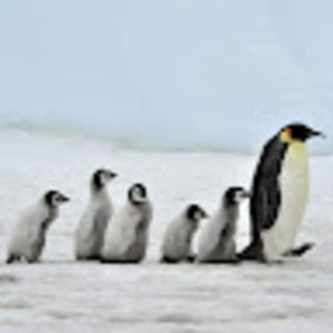 Meet your Posher, Sean